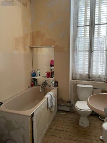 Maison à vendre à Pellevoisin dans l'Indre (36180), ref : 016/336