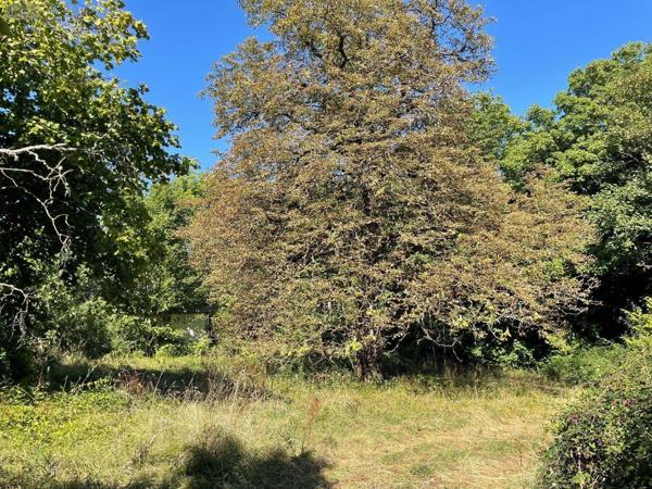 Maison à vendre à Pellevoisin dans l'Indre (36180), ref : 016/336