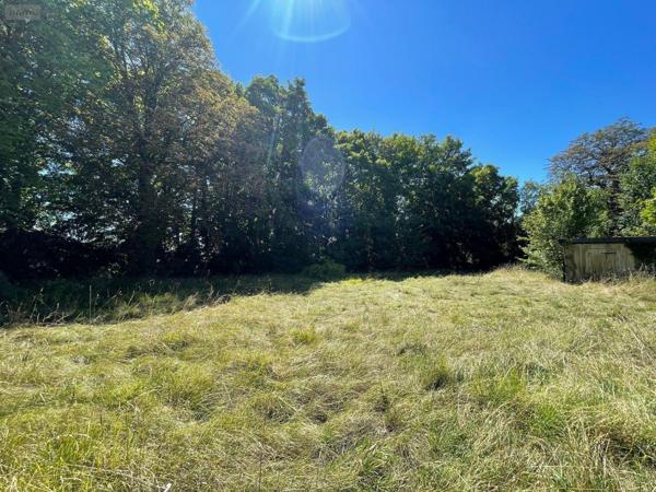 Maison à vendre à Pellevoisin dans l'Indre (36180), ref : 016/336