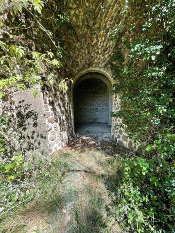 Maison à vendre à Pellevoisin dans l'Indre (36180), ref : 016/336