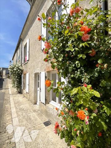 Maison 343 m² - MARCHENOIR