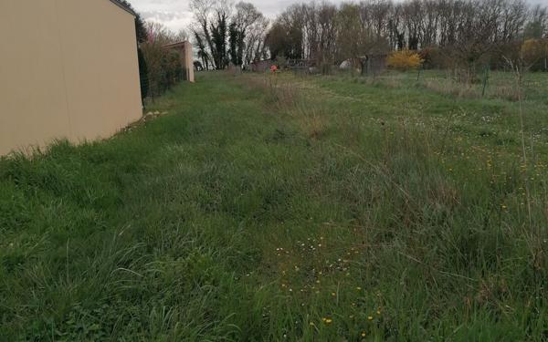 Terrain à vendre    Mauzé-sur-le-Mignon