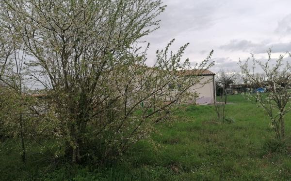 Terrain à vendre    Mauzé-sur-le-Mignon