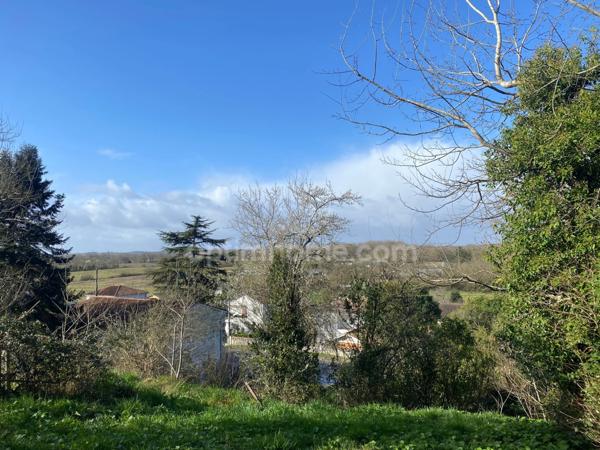 Maison en pierre avec chai et terrain de 8 000 m²
