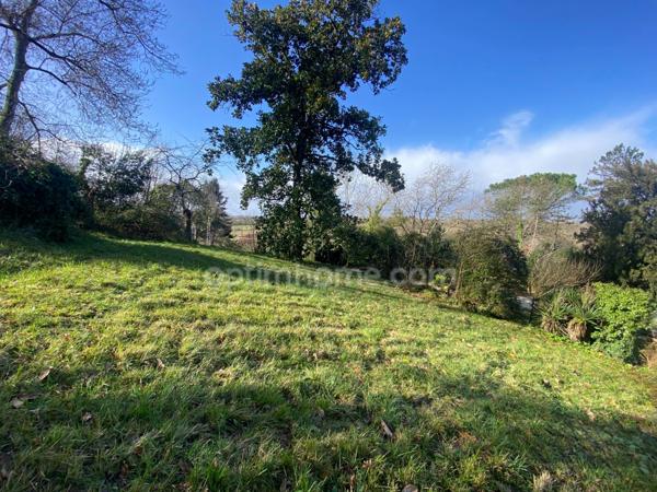 Maison en pierre avec chai et terrain de 8 000 m²
