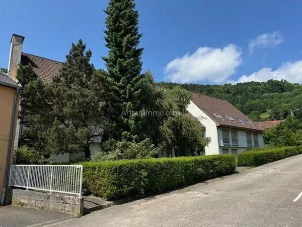 Vente                                                      Immeuble
                        
                     31 pièces                      1362 m2                     à Fréland