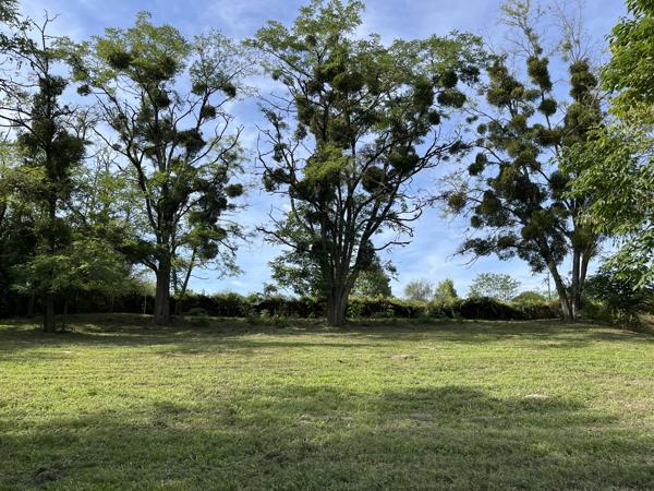 Maison en pierre de 125 m² sur grand terrain