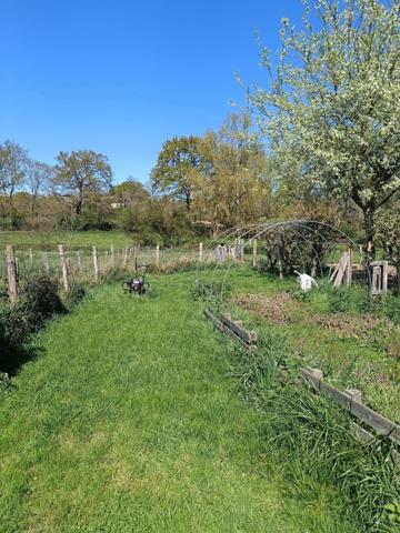 Maison avec terrain