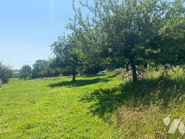 Maison  5 pièce(s) 110 m2