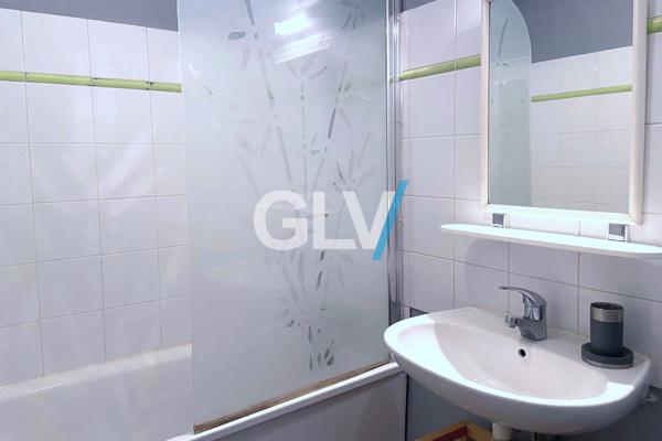 Appartement T2 meublé 43 m2 avec parking et balcon Lille , Lille