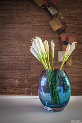 Casa Blanca, villa dacquoise aux multiples visages