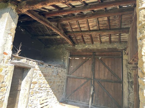 Rare, au coeur du village de la Tour de Salvagny ...