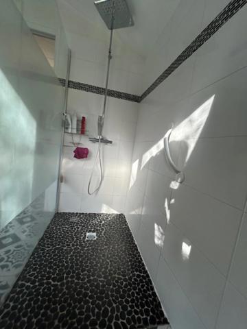 Maisons à vendre 6 pièces SAINTE EULALIE EN BORN (40)