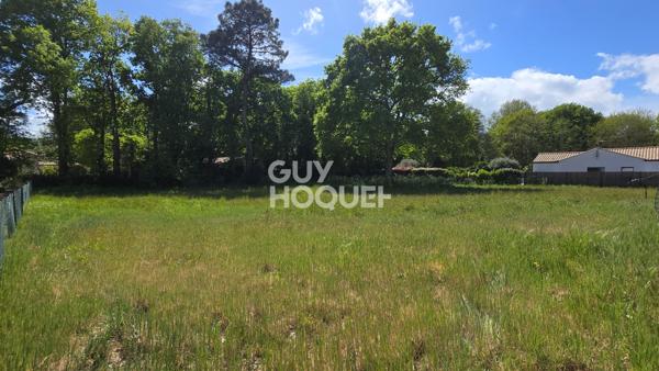 Terrain à vendre à St hilaire de riez