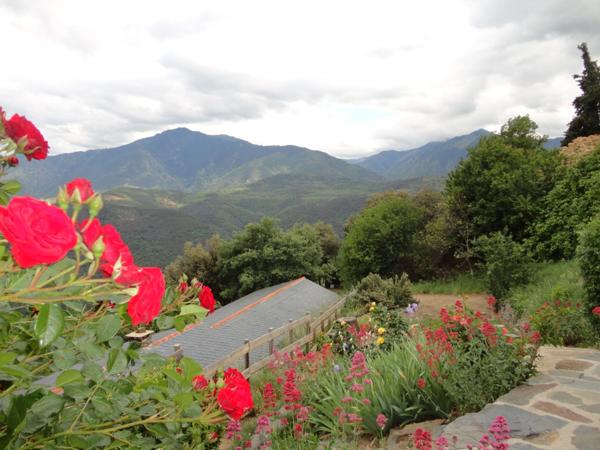 Dpt Pyrénées Orientales (66), à vendre JUJOLS Maison en pierres P4 de 63 m² sur terrain 445 m²