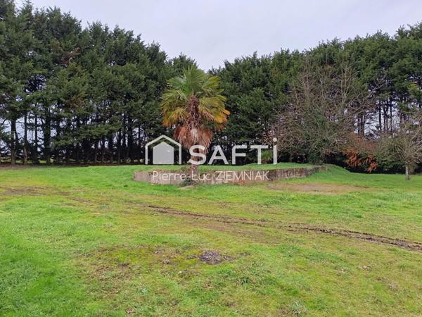 Terrain viabilisé de 4 071 m² + maison à réhabiliter