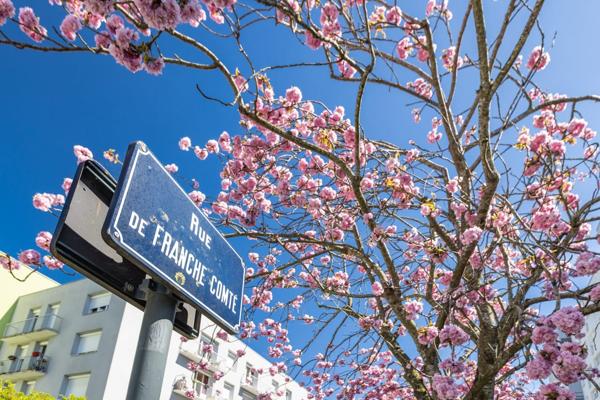 Annexes stationnement