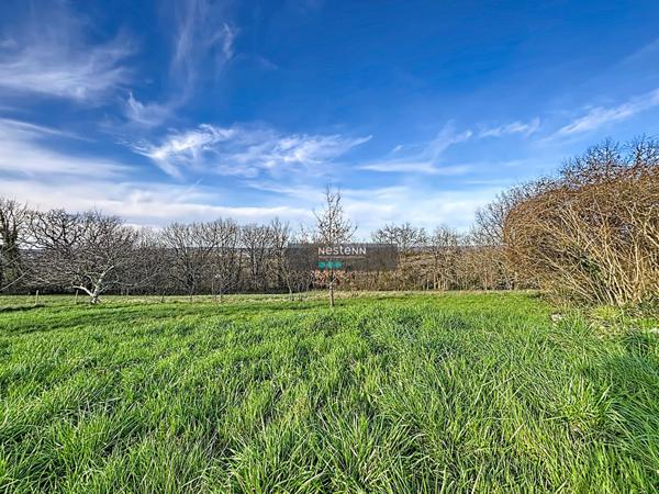 Maison à fort potentiel - 9 000 m² de terrain avec vue dégagée sur la campagne