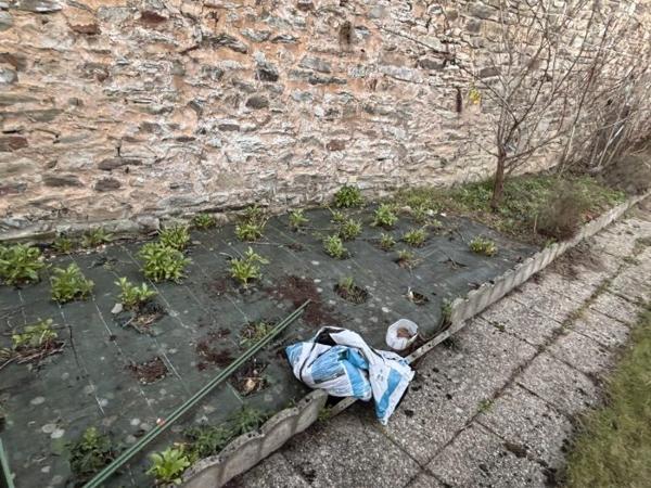 Maison individuelle Sillé-le-Guillaume 122 m²