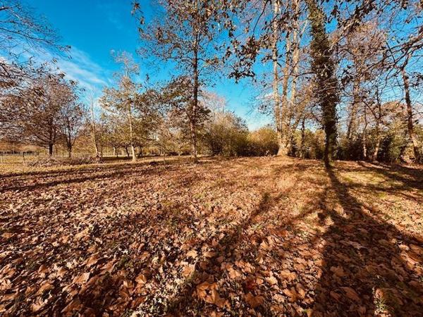 Maison ancienne Saint-Geours-de-Maremne 205 m²