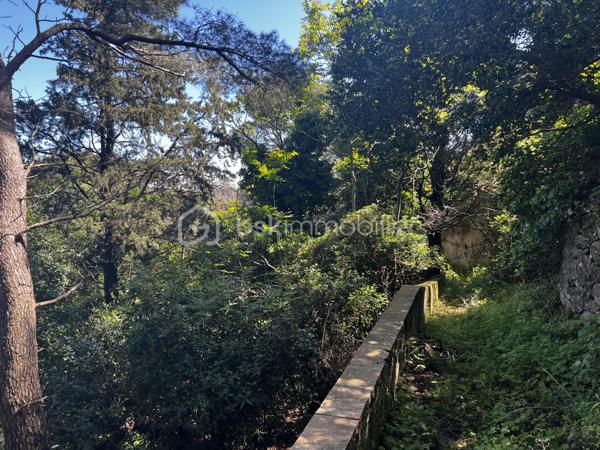 Situé sur un terrain généreux de 2 380 m², au cœur d’un environnement naturel et préservé sur le Mont Saint-Clair à Sète, ce bien comprend une ancienne habitation de plain-pied datant du début du XXe siècle. 
L’emprise au sol de la maison existante est d’environ 90 m², avec la possibilité d’une rénovation complète et l’aménagement d’un étage supplémentaire, portant ainsi la surface habitable potentielle à plus de 150 m².

Nichée parmi les pins et les chênes verts, le terrain offre un panorama spectaculaire sur la lagune de Thau, la ville de Sète et la mer. Un cadre rare, où se conjuguent nature, tranquillité et charme authentique tout en restant à proximité du centre-ville.

Des travaux sont à prévoir, notamment pour la création d’un accès et la viabilisation du terrain.


Ce terrain classée en zone UD1V pour sa plus grande partie, avec une portion en contrebas en zone UD1
Enfin, voici quelques règles essentielles du PLU applicables au secteur UD1v :

-L’emprise au sol maximale des constructions est limitée à 8 % de la superficie du terrain, soit environ 190 m² dans ce cas.

-La hauteur des constructions ne peut excéder 7,5 m en hauteur totale (HT) et 6 m en hauteur à l’égout du toit (HF).

-Les bâtiments doivent être implantés en retrait des limites séparatives, à une distance au moins égale à la moitié de la différence d’altitude entre le bâtiment et la limite, sans jamais être inférieure à 4 mètres.

-Les piscines doivent respecter un retrait minimum de 5 mètres, margelles et plages comprises.

-Les constructions de hauteur ≤ 3,5 m peuvent être édifiées en limite séparative, si leur longueur cumulée ne dépasse pas 10 mètres.