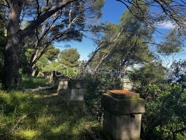 Situé sur un terrain généreux de 2 380 m², au cœur d’un environnement naturel et préservé sur le Mont Saint-Clair à Sète, ce bien comprend une ancienne habitation de plain-pied datant du début du XXe siècle. 
L’emprise au sol de la maison existante est d’environ 90 m², avec la possibilité d’une rénovation complète et l’aménagement d’un étage supplémentaire, portant ainsi la surface habitable potentielle à plus de 150 m².

Nichée parmi les pins et les chênes verts, le terrain offre un panorama spectaculaire sur la lagune de Thau, la ville de Sète et la mer. Un cadre rare, où se conjuguent nature, tranquillité et charme authentique tout en restant à proximité du centre-ville.

Des travaux sont à prévoir, notamment pour la création d’un accès et la viabilisation du terrain.


Ce terrain classée en zone UD1V pour sa plus grande partie, avec une portion en contrebas en zone UD1
Enfin, voici quelques règles essentielles du PLU applicables au secteur UD1v :

-L’emprise au sol maximale des constructions est limitée à 8 % de la superficie du terrain, soit environ 190 m² dans ce cas.

-La hauteur des constructions ne peut excéder 7,5 m en hauteur totale (HT) et 6 m en hauteur à l’égout du toit (HF).

-Les bâtiments doivent être implantés en retrait des limites séparatives, à une distance au moins égale à la moitié de la différence d’altitude entre le bâtiment et la limite, sans jamais être inférieure à 4 mètres.

-Les piscines doivent respecter un retrait minimum de 5 mètres, margelles et plages comprises.

-Les constructions de hauteur ≤ 3,5 m peuvent être édifiées en limite séparative, si leur longueur cumulée ne dépasse pas 10 mètres.