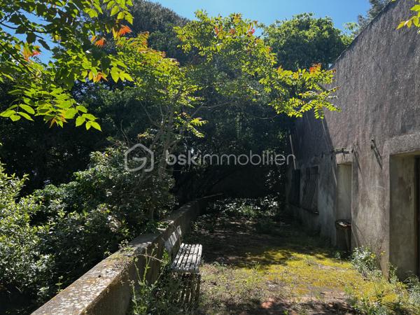 Situé sur un terrain généreux de 2 380 m², au cœur d’un environnement naturel et préservé sur le Mont Saint-Clair à Sète, ce bien comprend une ancienne habitation de plain-pied datant du début du XXe siècle. 
L’emprise au sol de la maison existante est d’environ 90 m², avec la possibilité d’une rénovation complète et l’aménagement d’un étage supplémentaire, portant ainsi la surface habitable potentielle à plus de 150 m².

Nichée parmi les pins et les chênes verts, le terrain offre un panorama spectaculaire sur la lagune de Thau, la ville de Sète et la mer. Un cadre rare, où se conjuguent nature, tranquillité et charme authentique tout en restant à proximité du centre-ville.

Des travaux sont à prévoir, notamment pour la création d’un accès et la viabilisation du terrain.


Ce terrain classée en zone UD1V pour sa plus grande partie, avec une portion en contrebas en zone UD1
Enfin, voici quelques règles essentielles du PLU applicables au secteur UD1v :

-L’emprise au sol maximale des constructions est limitée à 8 % de la superficie du terrain, soit environ 190 m² dans ce cas.

-La hauteur des constructions ne peut excéder 7,5 m en hauteur totale (HT) et 6 m en hauteur à l’égout du toit (HF).

-Les bâtiments doivent être implantés en retrait des limites séparatives, à une distance au moins égale à la moitié de la différence d’altitude entre le bâtiment et la limite, sans jamais être inférieure à 4 mètres.

-Les piscines doivent respecter un retrait minimum de 5 mètres, margelles et plages comprises.

-Les constructions de hauteur ≤ 3,5 m peuvent être édifiées en limite séparative, si leur longueur cumulée ne dépasse pas 10 mètres.