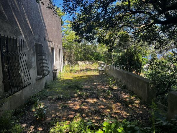 Situé sur un terrain généreux de 2 380 m², au cœur d’un environnement naturel et préservé sur le Mont Saint-Clair à Sète, ce bien comprend une ancienne habitation de plain-pied datant du début du XXe siècle. 
L’emprise au sol de la maison existante est d’environ 90 m², avec la possibilité d’une rénovation complète et l’aménagement d’un étage supplémentaire, portant ainsi la surface habitable potentielle à plus de 150 m².

Nichée parmi les pins et les chênes verts, le terrain offre un panorama spectaculaire sur la lagune de Thau, la ville de Sète et la mer. Un cadre rare, où se conjuguent nature, tranquillité et charme authentique tout en restant à proximité du centre-ville.

Des travaux sont à prévoir, notamment pour la création d’un accès et la viabilisation du terrain.


Ce terrain classée en zone UD1V pour sa plus grande partie, avec une portion en contrebas en zone UD1
Enfin, voici quelques règles essentielles du PLU applicables au secteur UD1v :

-L’emprise au sol maximale des constructions est limitée à 8 % de la superficie du terrain, soit environ 190 m² dans ce cas.

-La hauteur des constructions ne peut excéder 7,5 m en hauteur totale (HT) et 6 m en hauteur à l’égout du toit (HF).

-Les bâtiments doivent être implantés en retrait des limites séparatives, à une distance au moins égale à la moitié de la différence d’altitude entre le bâtiment et la limite, sans jamais être inférieure à 4 mètres.

-Les piscines doivent respecter un retrait minimum de 5 mètres, margelles et plages comprises.

-Les constructions de hauteur ≤ 3,5 m peuvent être édifiées en limite séparative, si leur longueur cumulée ne dépasse pas 10 mètres.