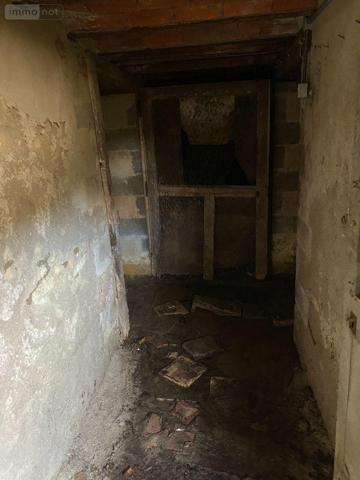 Maison à vendre à Clion dans l'Indre (36700), ref : 1051405