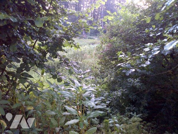 4014 perval 
A LA CHAPELLE-AUX-BOIS (88240) 22 Hardémont.