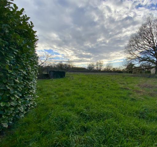 Maison avec grande dépendance aux portes de Le Blanc