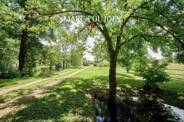 Proche Sancerre – Moulin avec dependance piscine et jaccuzi sur 5 hectares au coeur du Berry