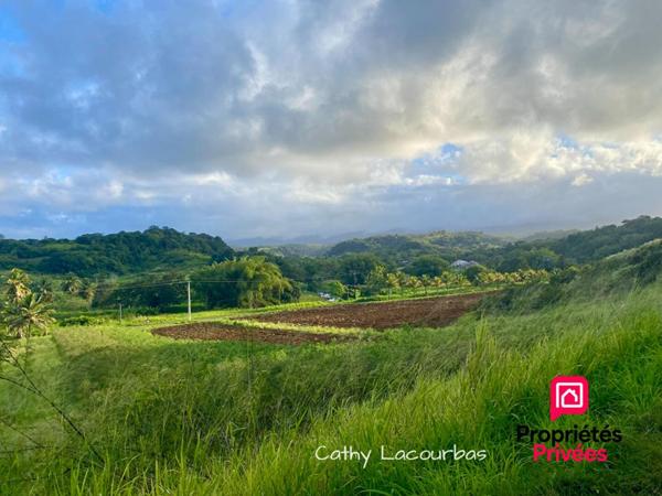 Grand Appartement T3 avec jardin privatif - Bien rare à PETIT BOURG 97170
