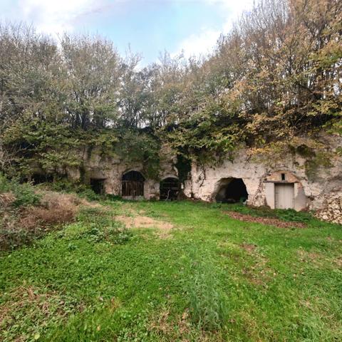 Maison 1 pièce - 15 m² Exclusivité efficity