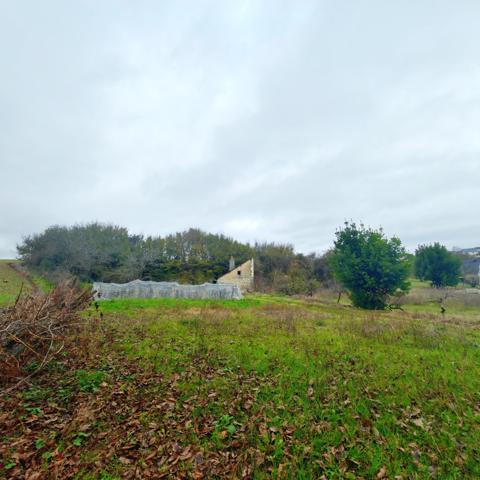 Maison 1 pièce - 15 m² Exclusivité efficity