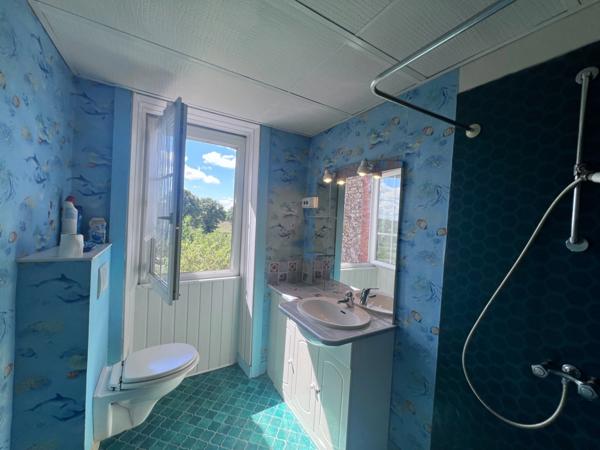 Ancien corps de ferme à vendre SAINT-PARDOUX-LE-LAC (87)