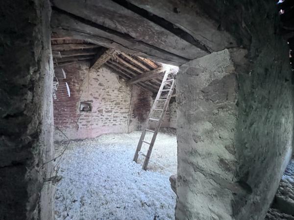 Ancien corps de ferme à vendre SAINT-PARDOUX-LE-LAC (87)