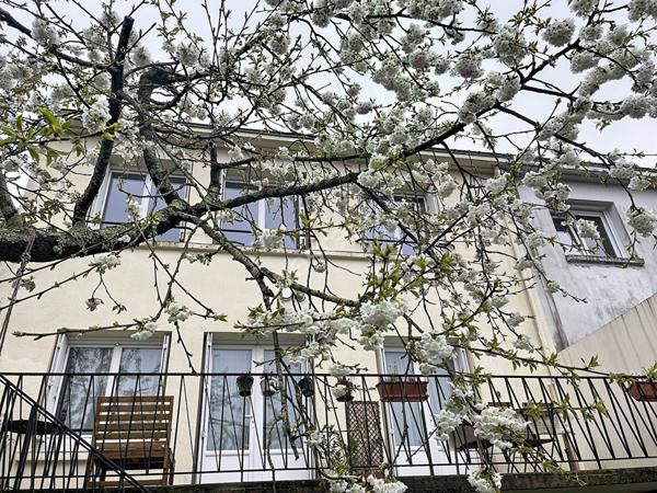 NANTES - PROCE/CHEZINE - MAISON 4 CHAMBRES , BUREAU, STUDIO, GARAGE, JARDIN