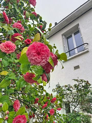 NANTES - PROCE/CHEZINE - MAISON 4 CHAMBRES , BUREAU, STUDIO, GARAGE, JARDIN