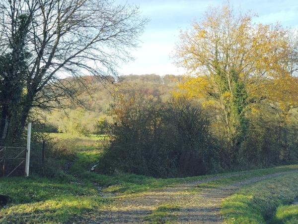 TERRAIN DE LOISIR A THIONVILLE - 2817 m2