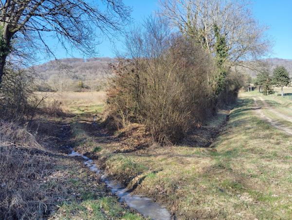 TERRAIN DE LOISIR A THIONVILLE - 2817 m2