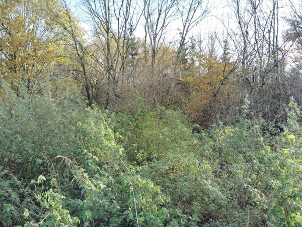 TERRAIN DE LOISIR A THIONVILLE - 2817 m2