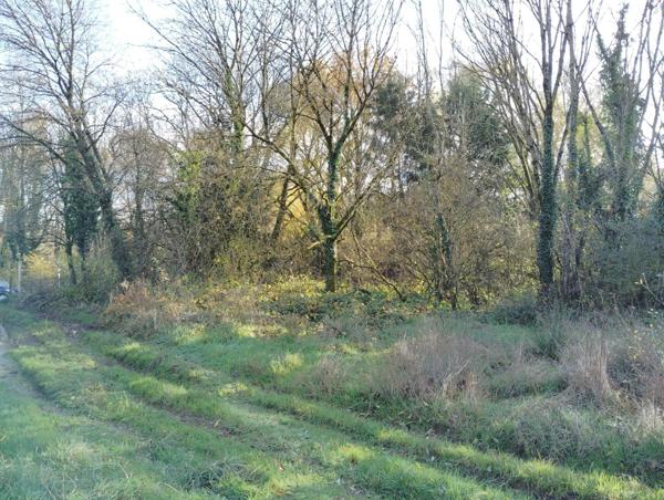 TERRAIN DE LOISIR A THIONVILLE - 2817 m2