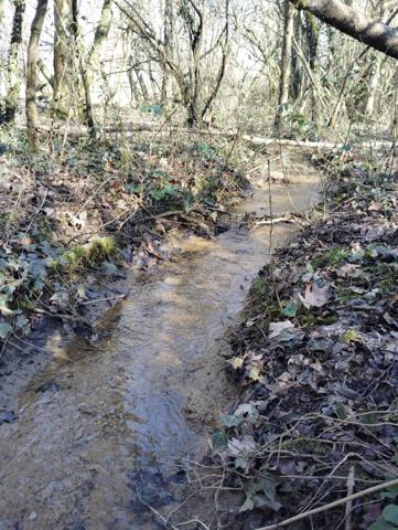 TERRAIN DE LOISIR A THIONVILLE - 2817 m2