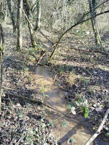 TERRAIN DE LOISIR A THIONVILLE - 2817 m2