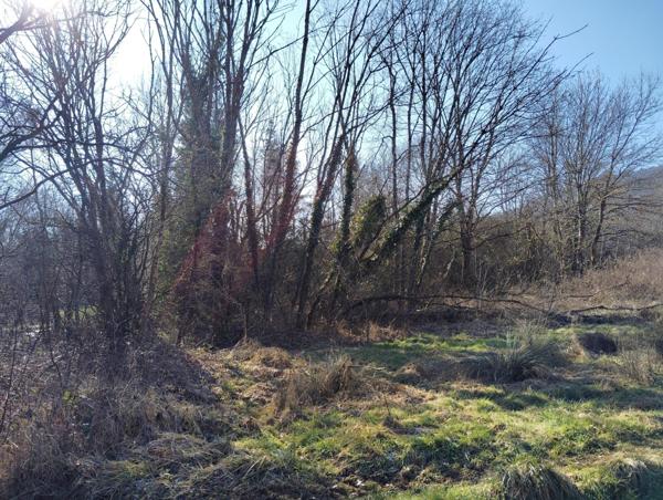 TERRAIN DE LOISIR A THIONVILLE - 2817 m2