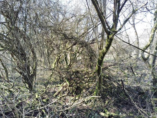 TERRAIN DE LOISIR A THIONVILLE - 2817 m2