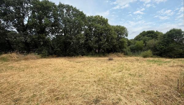 A VENDRE - Sainte Foy de Peyrolieres - Terrain constructible de 1026m² au calme