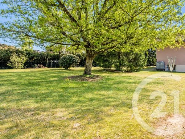 Terrain à vendre  1085 m 2   MONTMERLE SUR SAONE  - 01