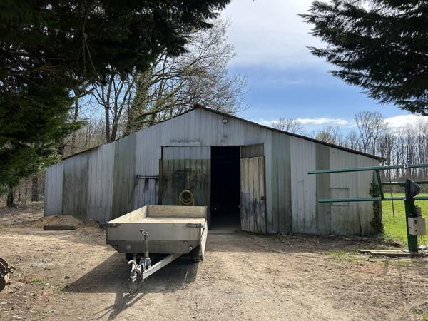 Propriété sur 3 Hectares à Changé